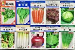野菜の種【タキイ】今〜夏秋◆美味しいお得な10種類セットのサムネイル