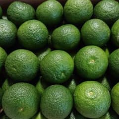 徳島県産 すだち 露地物 完全無農薬のサムネイル