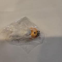 猫釣れちゃいました めじるしキーホルダー ガチャのサムネイル