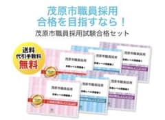 公務員試験問題集　茂原市職員採用試験対策問題集　面接対策本プレゼント 公務員試験問題集 茂原市職員採用試験対策問題集 面接対策本プレゼント