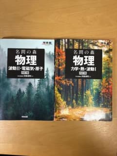 名問の森 物理 2冊セット 四訂版のサムネイル