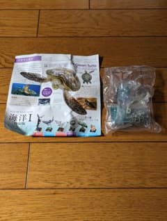 ネイチャーテクニカラー　海洋　特装版　アオウミガメ　単品のサムネイル