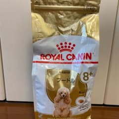 犬 フードのサムネイル