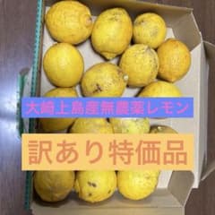 大崎上島産無農薬レモン24のサムネイル