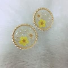 ピアス/イヤリングのサムネイル