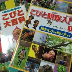 こびと図鑑セット☆のサムネイル