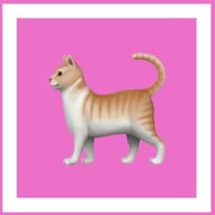 インド刺繍リボン まん丸ねこちゃん - メルカリ