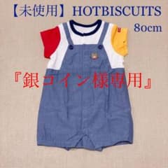 【銀コイン様専用】のサムネイル
