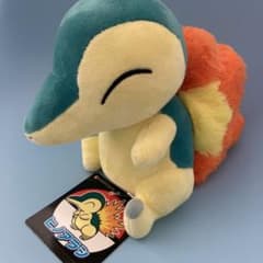 ポケモンセンター限定 ヒノアラシ ぬいぐるみ タグ付き - メルカリ