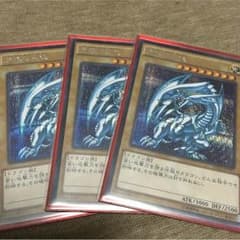 青眼の白龍 シク 3枚セットのサムネイル