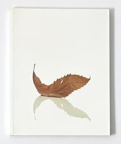 絶版本 ピーター・サヴィル PETER SAVILLE ESTATE 1-127 絶版本 ピーター・サヴィル PETER SAVILLE ESTATE 1-127 - メルカリ