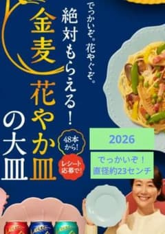 2026 サントリー 金麦 花やか皿（大皿）48点分 レシート応募 - メルカリ