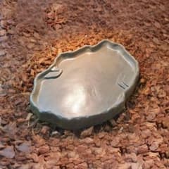 爬虫類用デーカイ 水やり オアシス 2XL リクガメ爬虫類用 餌入れ 水入れのサムネイル