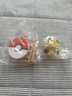 ポケモン　わくわくアスレチック　ニャースのサムネイル