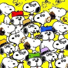ここあ様専用のサムネイル