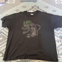 I'M ABOUT TO DEVELOP AN ATTITUDE Tシャツのサムネイル