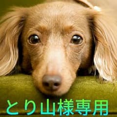 とり山様専用のサムネイル