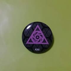 最終値下げ! SMT in TOKYO EXO-K KAI 缶バッチのサムネイル