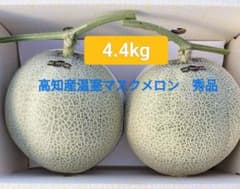 高知産 温室マスクメロン 秀品 4.4kg 2玉 北海道沖縄発送不可 - メルカリ