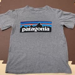 patagonia パタゴニア Tシャツのサムネイル