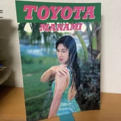 レア 豊田真奈美 山田敏代 YAMADA TOYOTA 写真集 女子プロレス - メルカリ