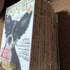 チワワスタイル v.3〜v.24 - メルカリ