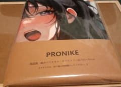 PRONIKE 高品質・超大バスタオル・タペストリー約105×55cm式守さん PRONIKE高品質・超大バスタオル・タペストリー約105×55cm姫島朱乃