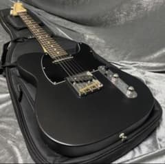 美品 限定レアモデル 2023年製 フジゲンFUJIGEN KNTE100RAL