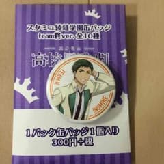 スタミュ 缶バッチ team柊verのサムネイル