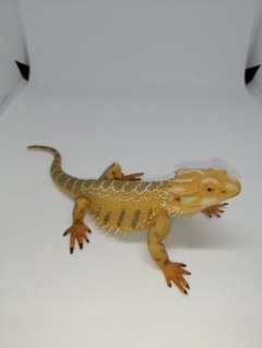 動物フィギュア　トカゲ　フィギュアのサムネイル