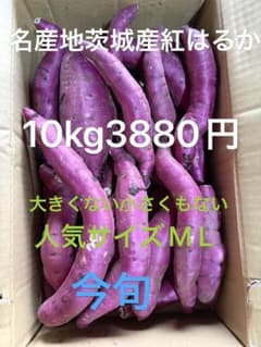 名産地茨城県産紅はるか 10kg 3880円　訳ありのサムネイル