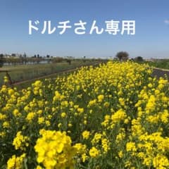 ドルチさん専用　靴紐145c   黒白　各2本のサムネイル