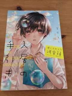 僕らはみんな河合荘コレクションBOOK入居の手引きのサムネイル