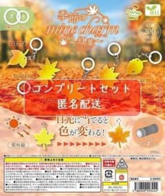 季節のmineチャーム～紅葉～　全5種セット　ガチャのサムネイル