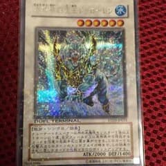 ドゥローレン DT シクのサムネイル