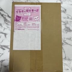 ポケモンワールドチャンピオンシップ2023横浜 記念デッキ ピカチュウのサムネイル