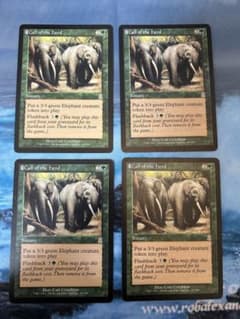 【MTG】獣群の呼び声/Call of the Herd 4枚セット MTG 獣群の呼び声 Call of the Herd 4枚セット - メルカリ