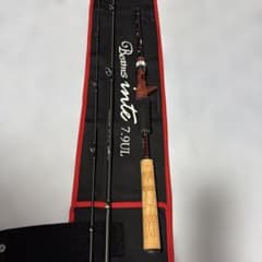 Fishman Beams inte 7.9UL フィッシュマンのサムネイル