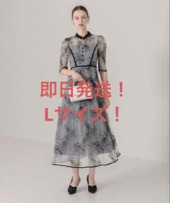 Leja 配色パイピングプチハイネック花柄刺繍ラメレースロング丈ドレス
