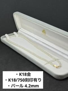 m44975178307_1.jpg?1717735063