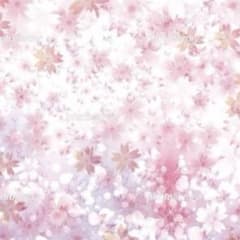 ボンボン母ちゃんさま　専用のサムネイル