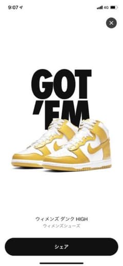 NIKE DUNK HIGHのサムネイル