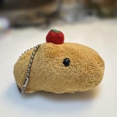 카피바라씨 부룻과 카피바라씨(S)헤세이 레트로 사과