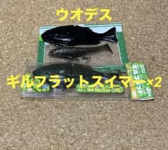 一誠 イッセイ issei【ウオデス乙型・ギルフラットスイマー×2個
