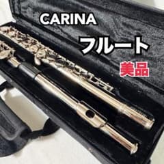 [Excellent Condition] Carina Flute, Wind Instrument with Case, Musical Instrument for Beginners/Introductory Players