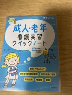 ❗️本日3/4 23:59までの販売❗️成人・老年看護実習クイックノートのサムネイル