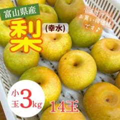 富山県産 梨(幸水) 小玉 3kg 14玉のサムネイル
