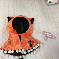 ディズニー 着ぐるみのサムネイル