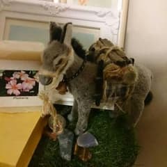 よんさん、専用のサムネイル