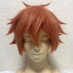 エース・トラッポラ コスプレ ウィッグ - メルカリ